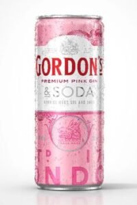 Gin Gordon em lata